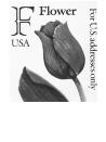 Graphic illustrates the stamp described in the text below it.